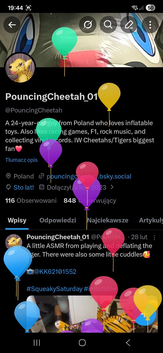 Glam the Cheetaher (PouncingCheetah_01) tweet media