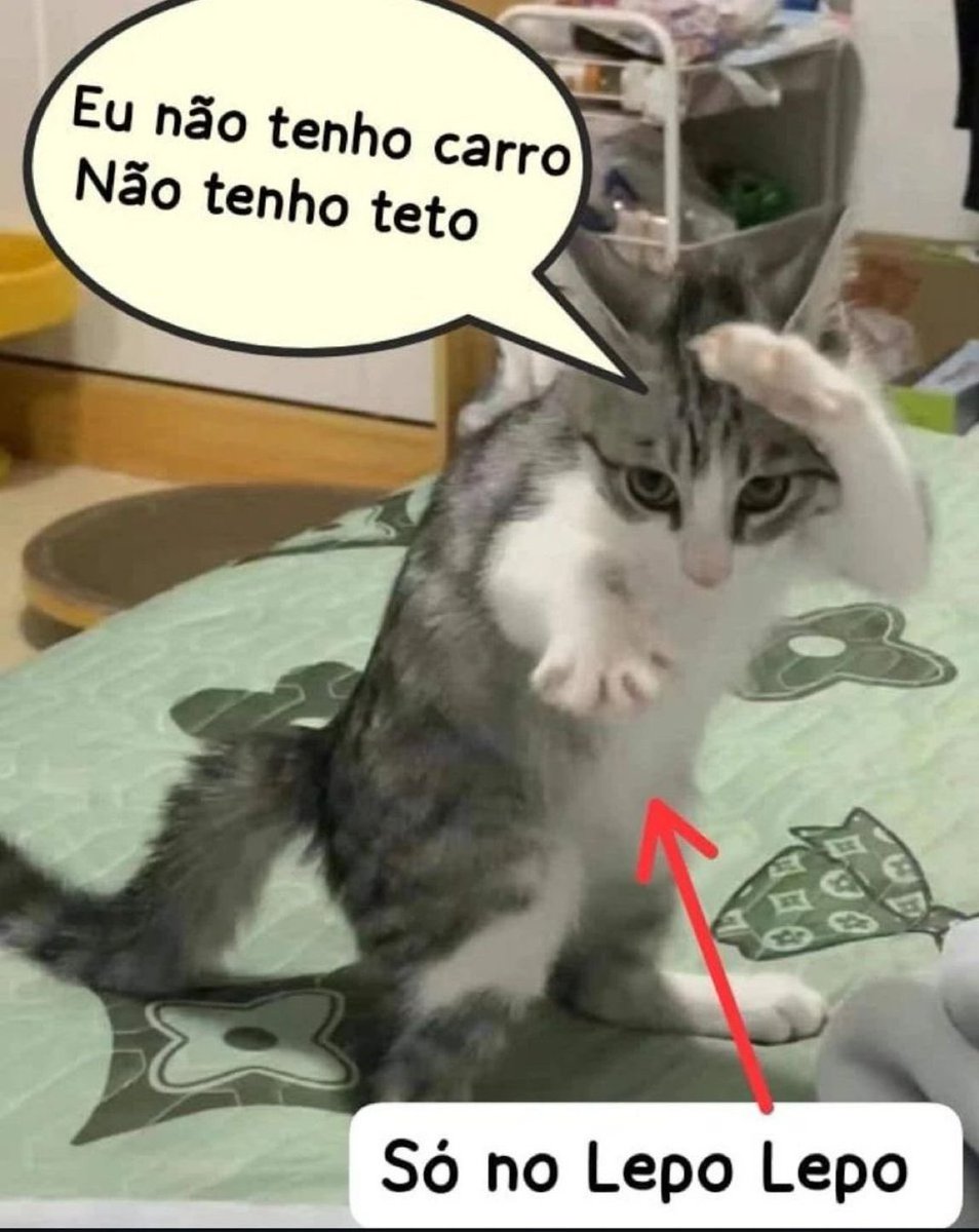 shitpostverdade's tweet photo. https://t.co/LBLWWYYwvR