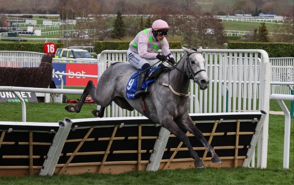 BetwithJ tweet media