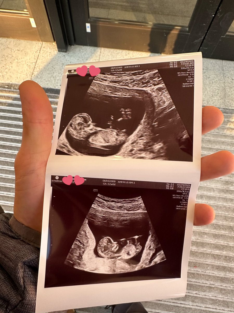 Lightsfire tweet media