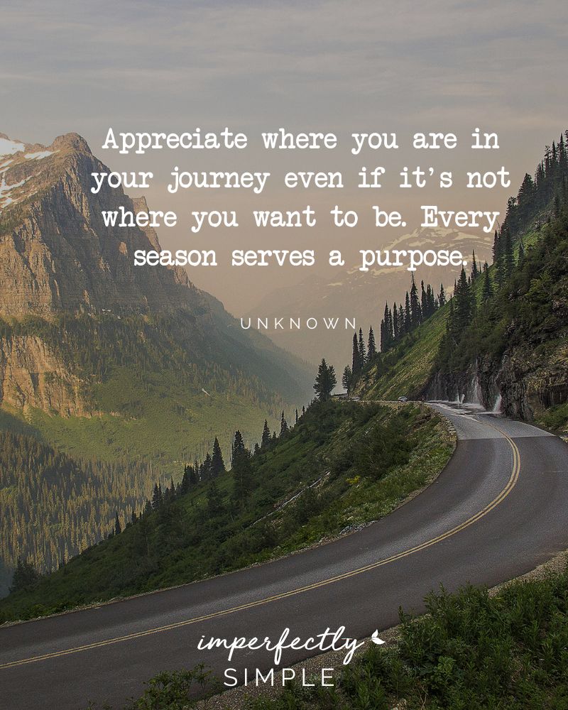 Appreciate where you are in your journey even if it's
not where you want to be. 
Every season serves a purpose. - Unknown Author