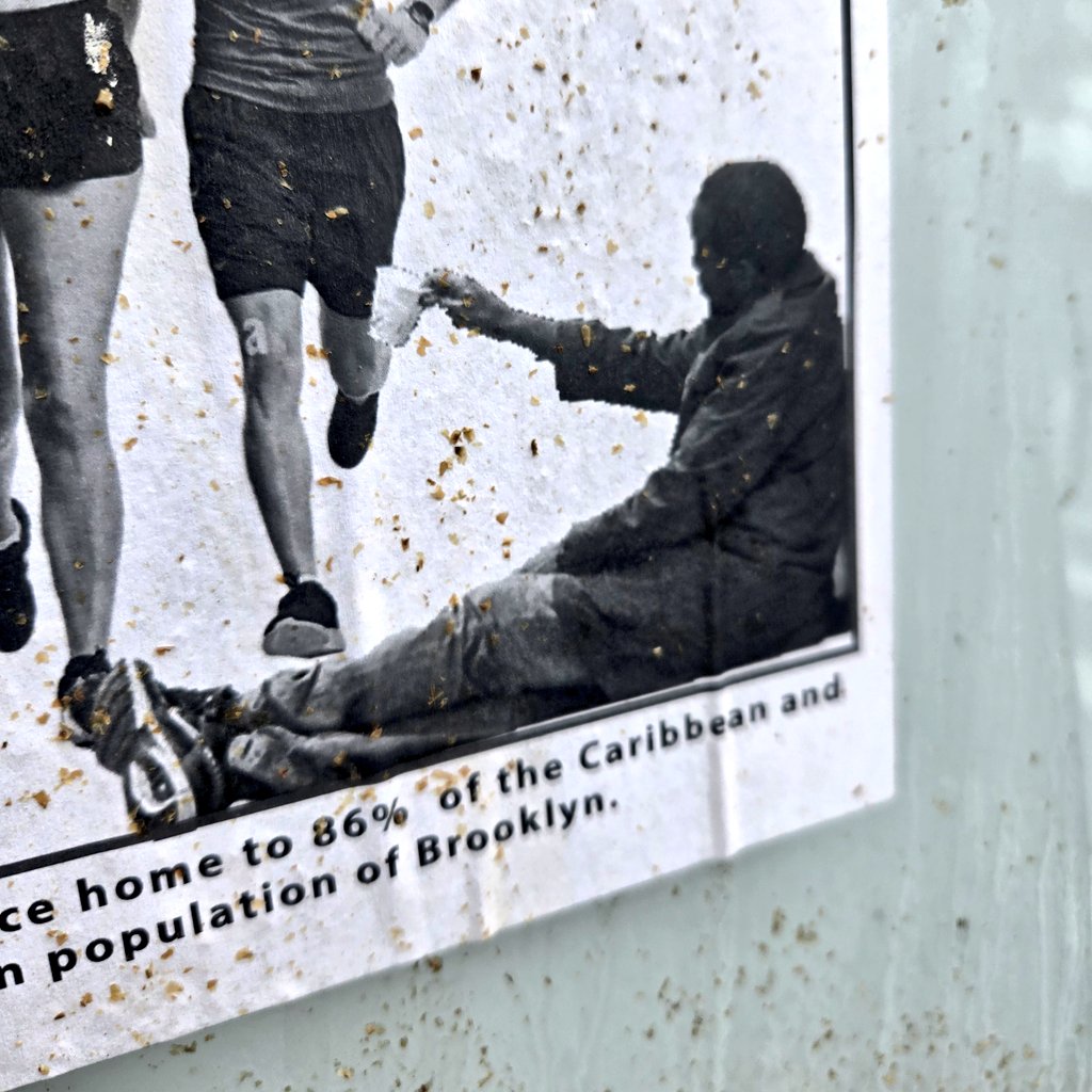 Mike Bird tweet media