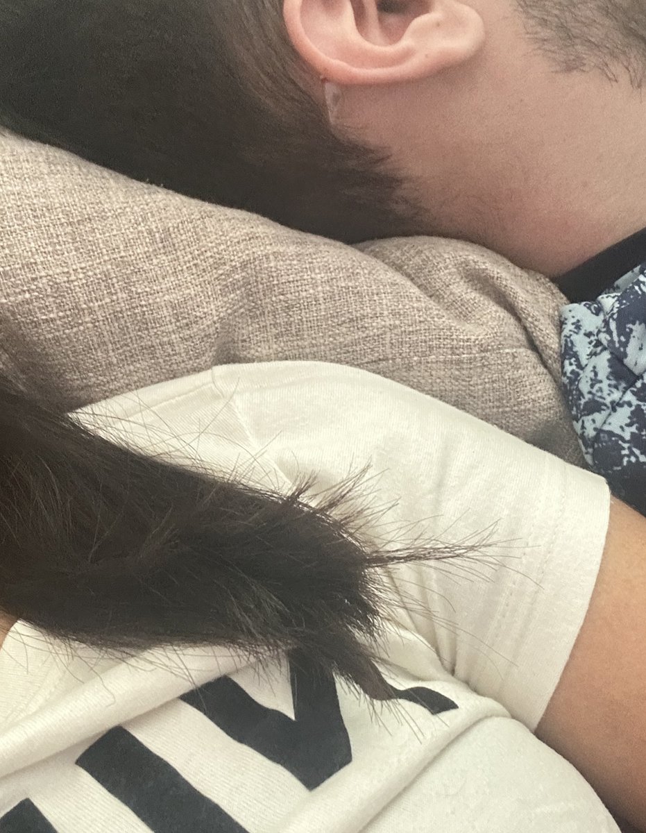 Abrusitax 🍒 tweet media