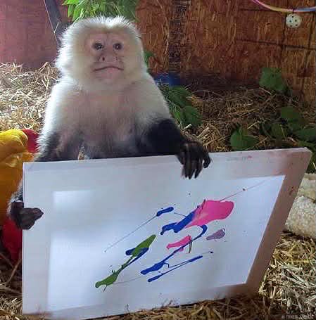 PocketsWarhol's tweet image. The beginning for my love of art🎨🐒🪽#storybookmonkeys #rememberme