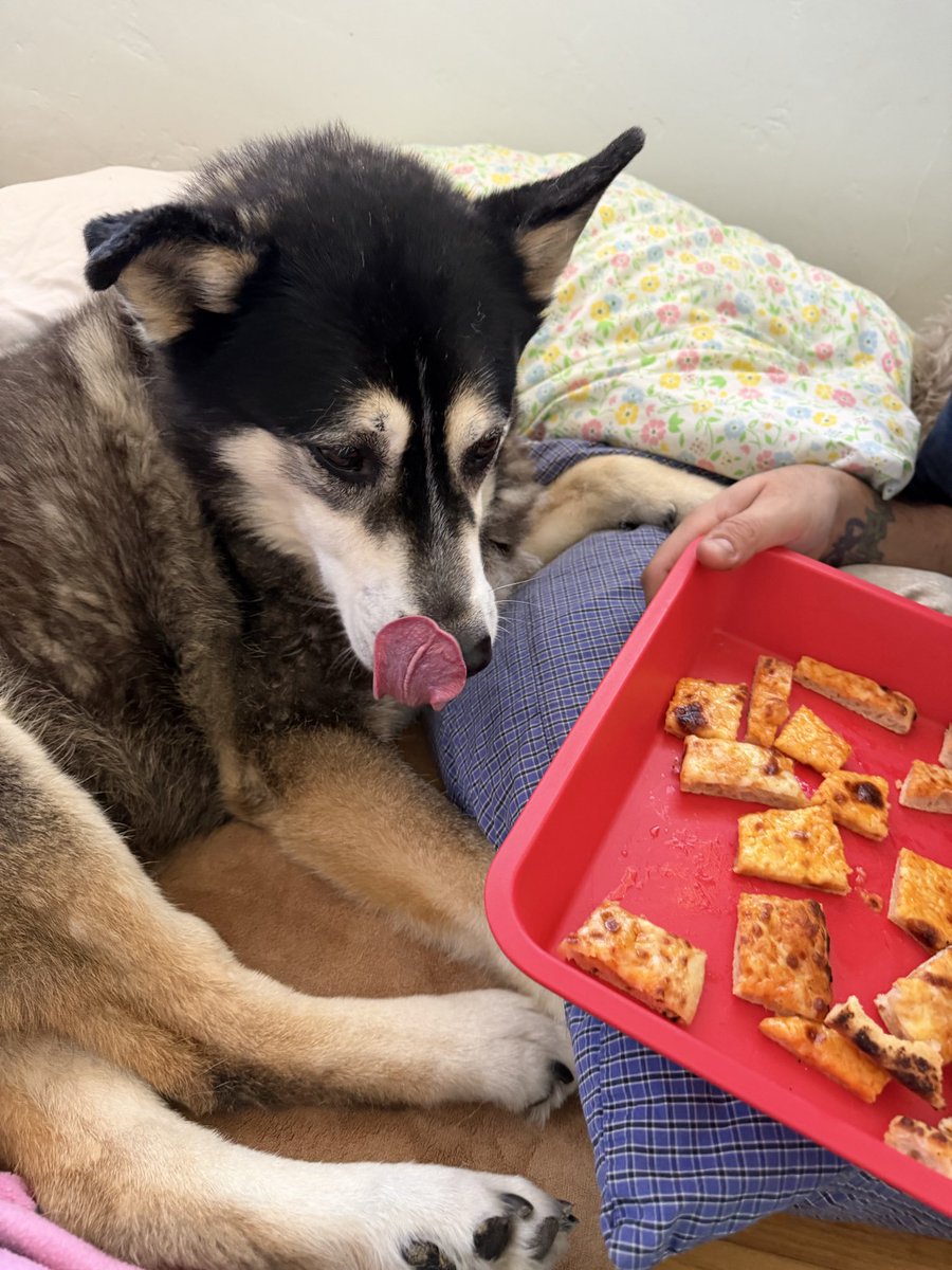 Youknowwazgood tweet media