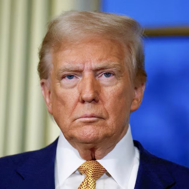 Mr. Whale tweet media