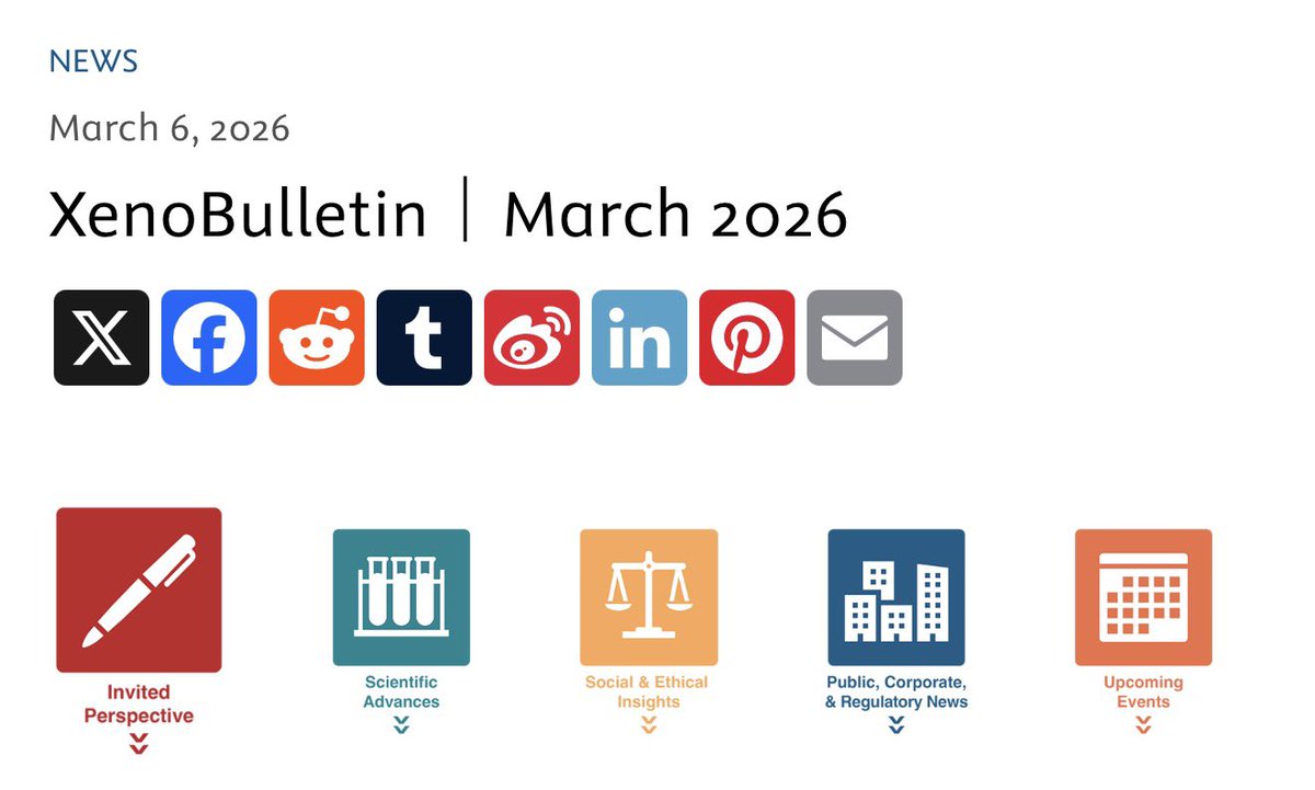 Kasra Shirini tweet media