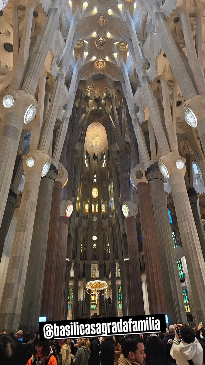 Jan V. Mušuta 🇨🇿 🇪🇺 tweet media