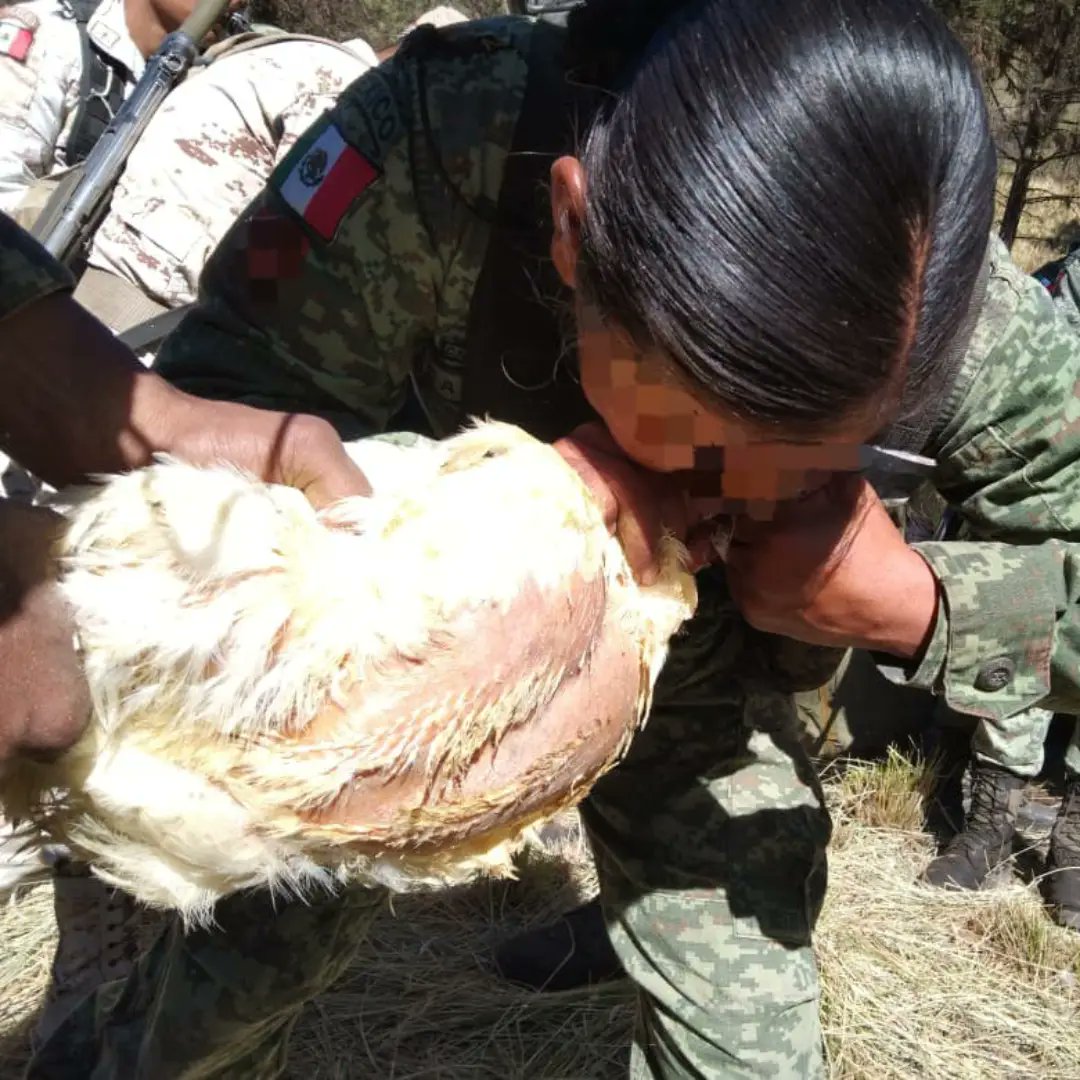 ElOficialdeCuartel tweet media