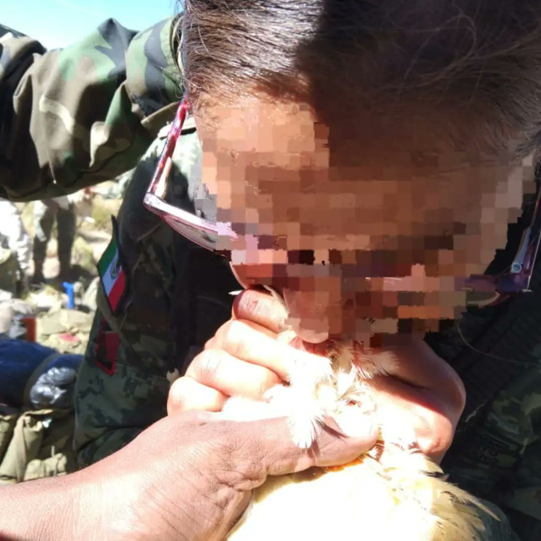 ElOficialdeCuartel tweet media