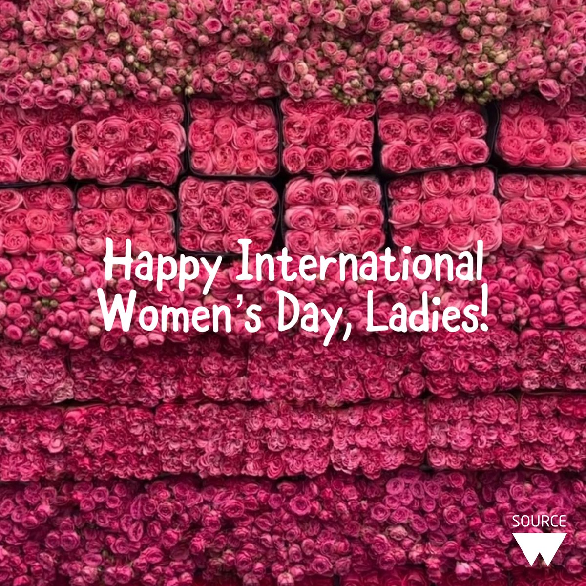 w-source tweet media