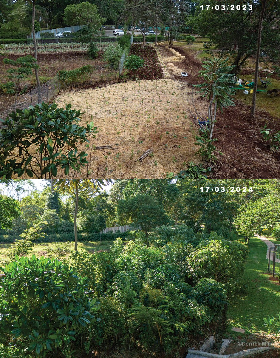 Derrick Milimo tweet media