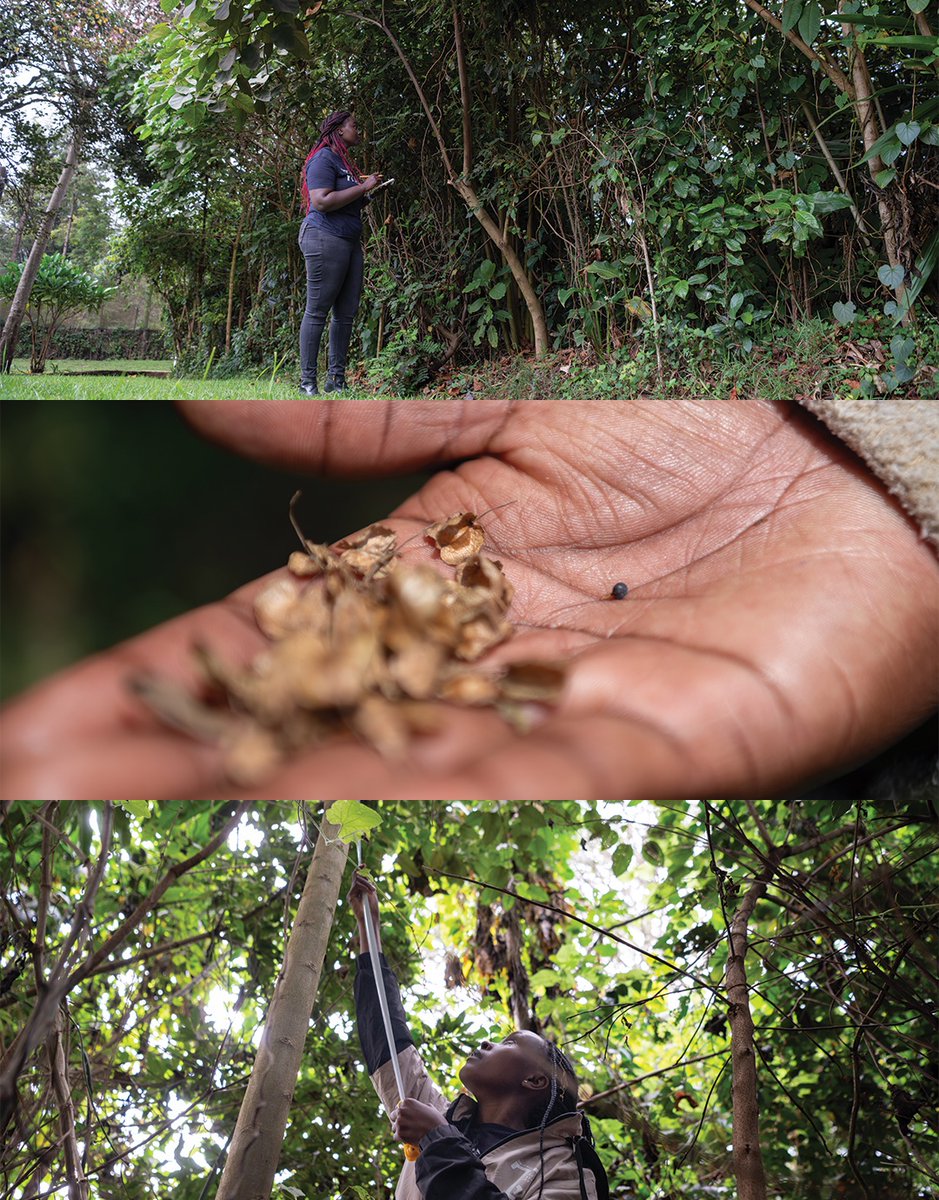 Derrick Milimo tweet media