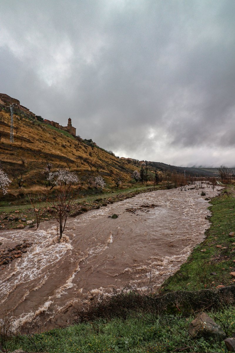 Ana.fase00 tweet media