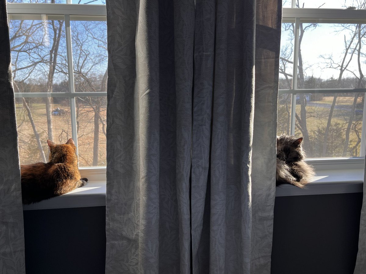 Jess in the Wild tweet media