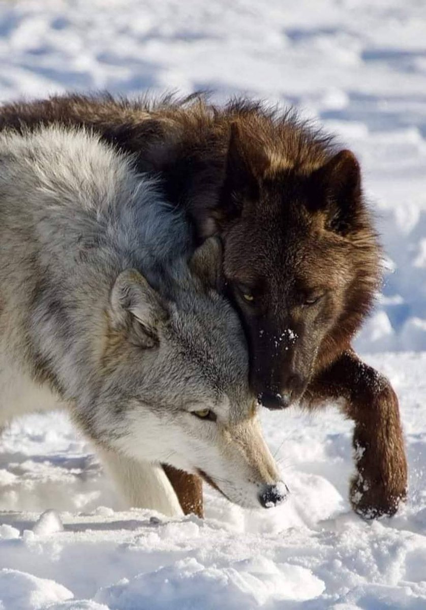 Great photography!❤️😍