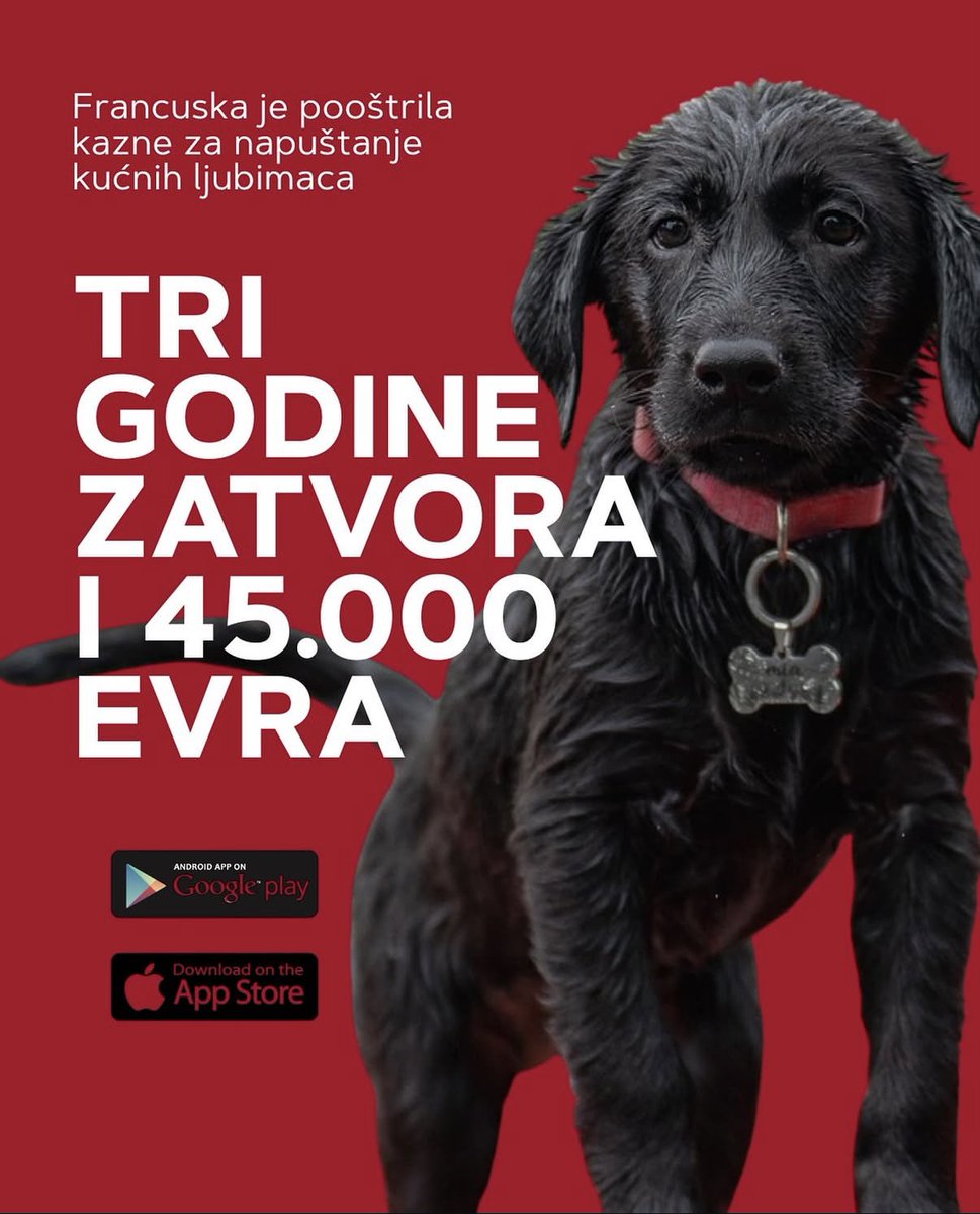 Da li će ovo ikada biti izvodljivo na našim prostorima…