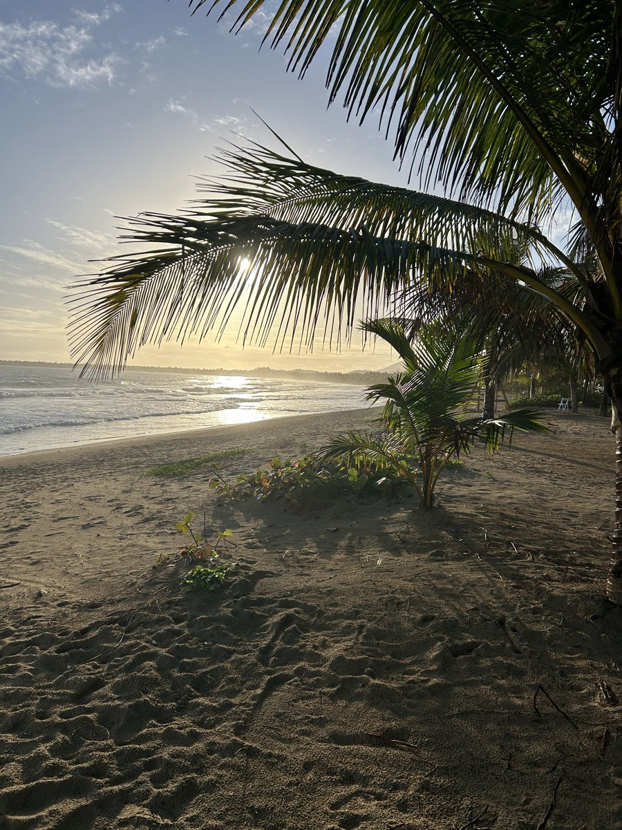 MCDillon4's tweet photo. A beautiful day in Miches, DR, at @SecretsResorts https://t.co/NNggE740m5