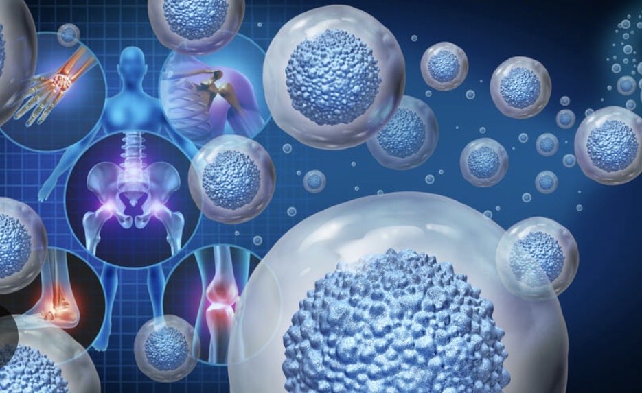 د. عبدالرحمن ذياب tweet media