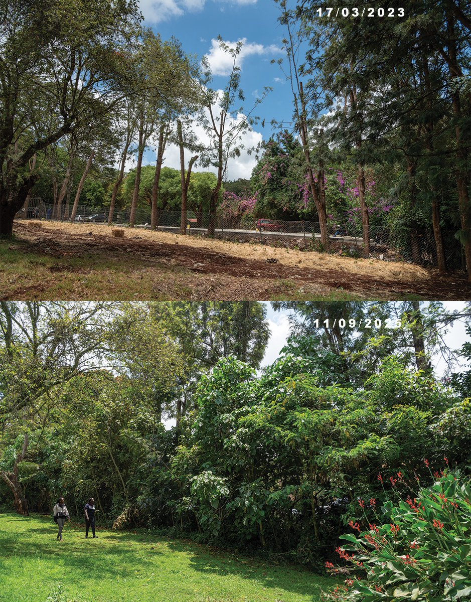 Derrick Milimo tweet media