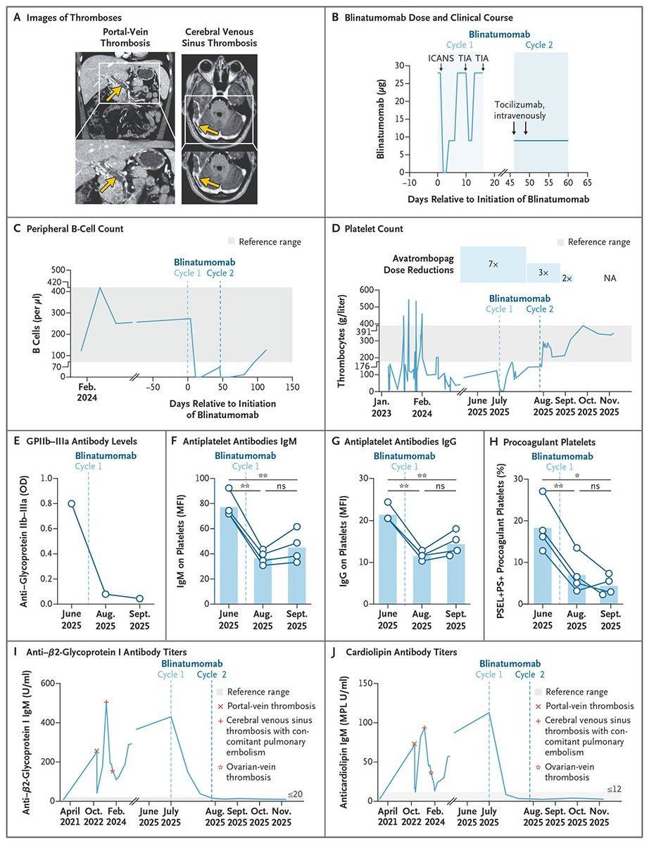 NEJM tweet media