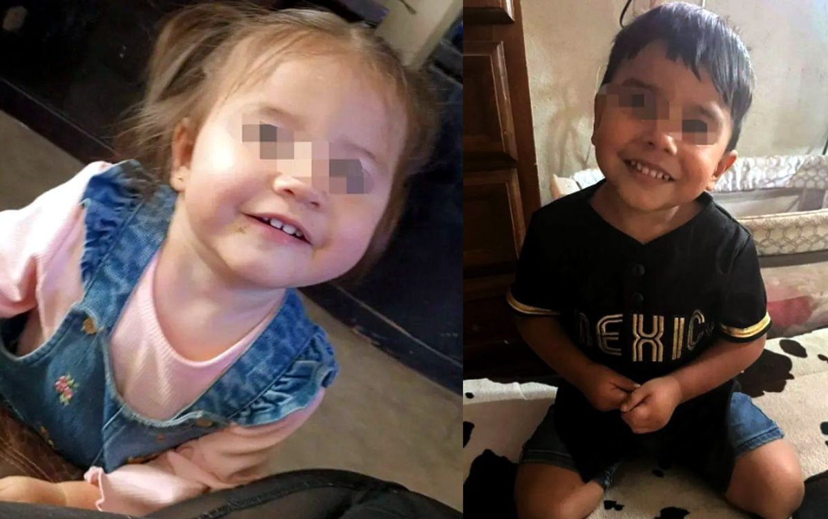 Eco_1_LVM tweet media