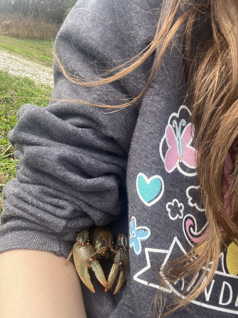 Flittermist tweet media