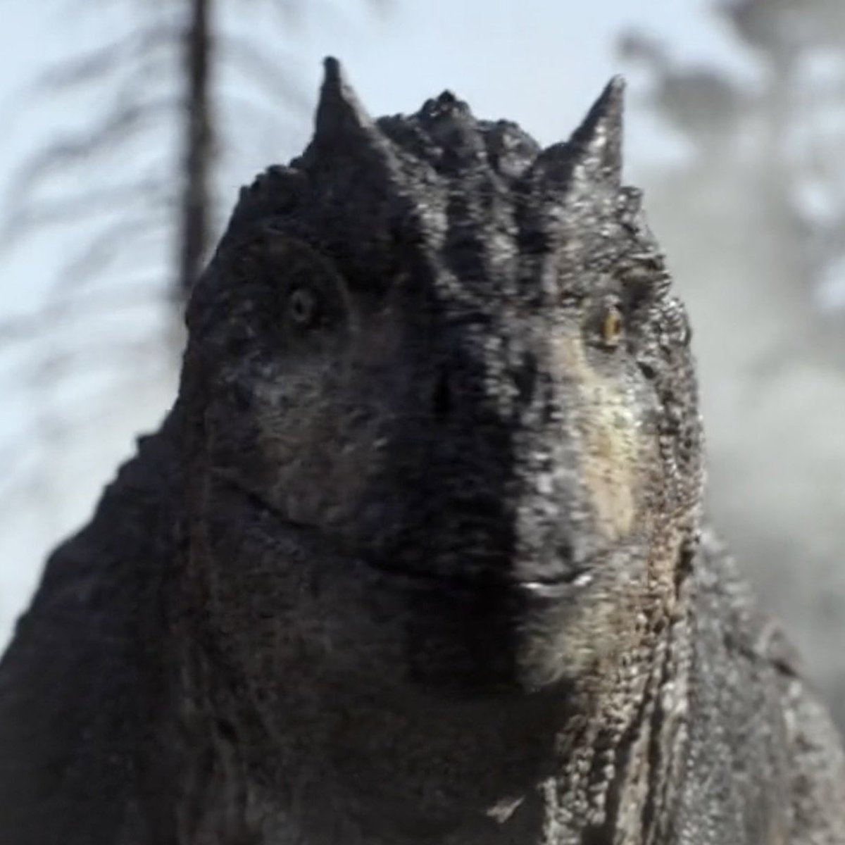 Mr. Goji  tweet media