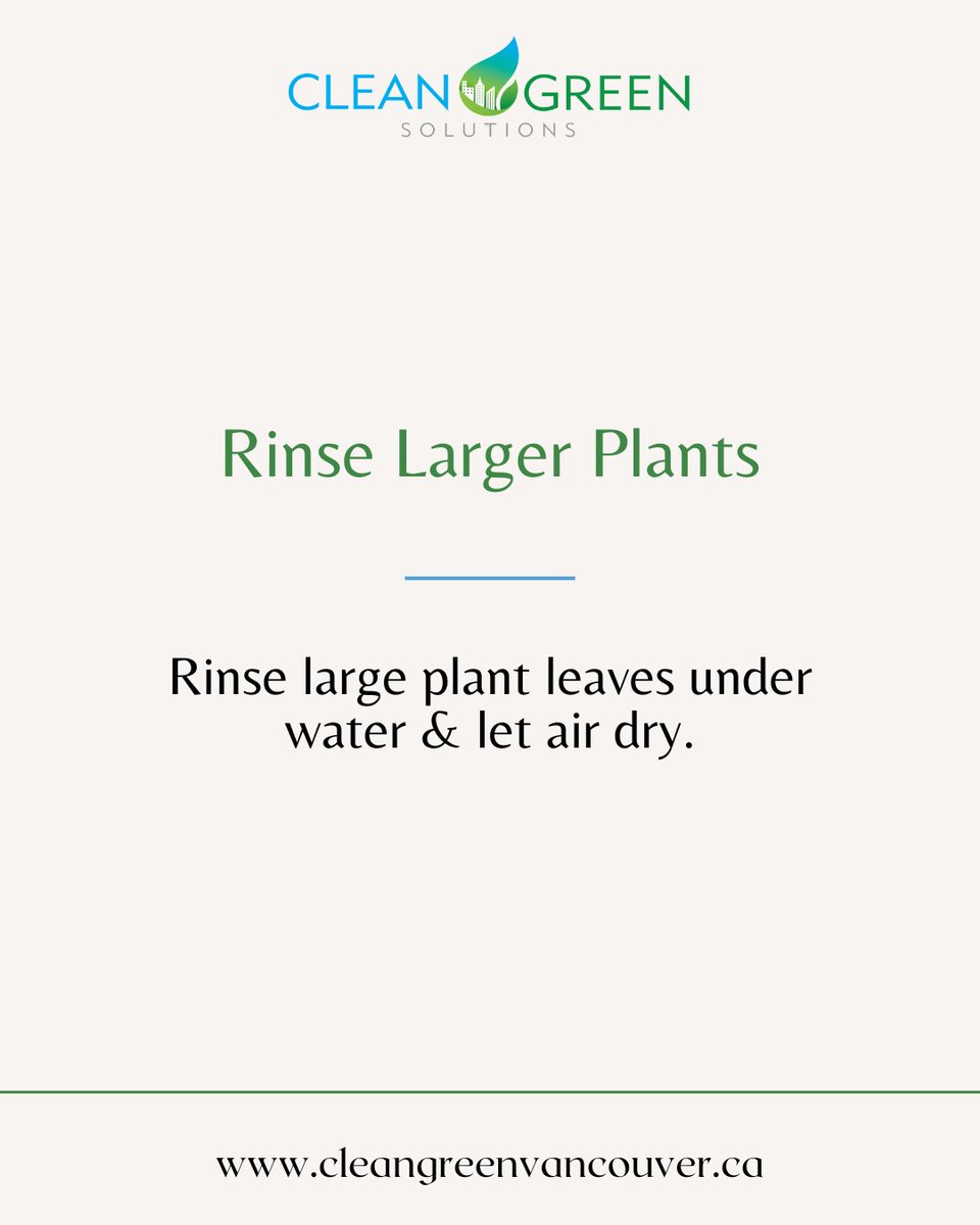 Clean Green tweet media