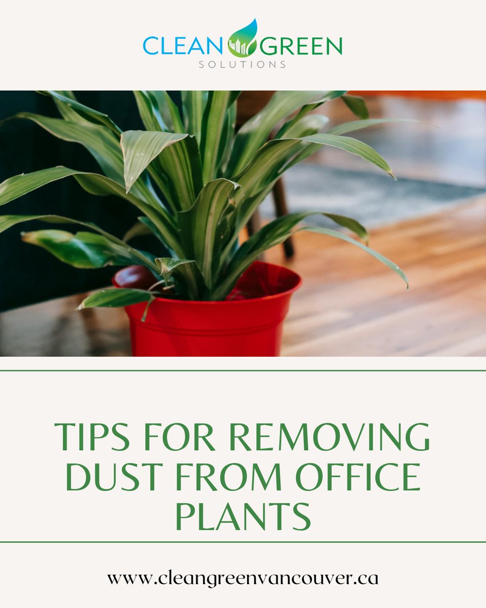 Clean Green tweet media