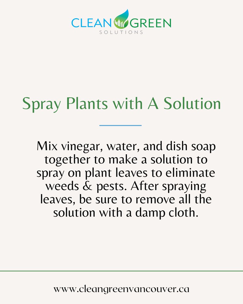 Clean Green tweet media