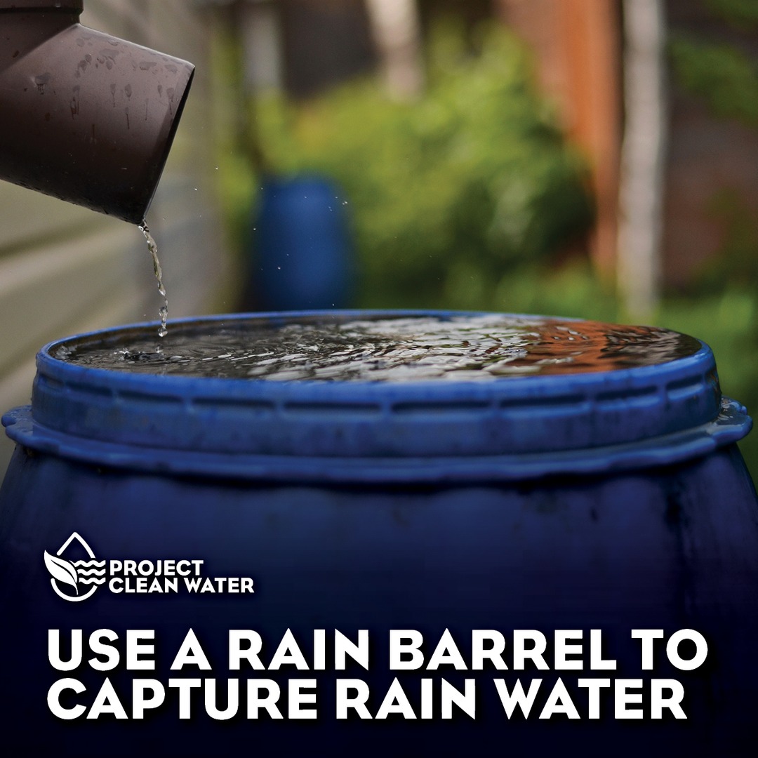 Project Clean Water tweet media