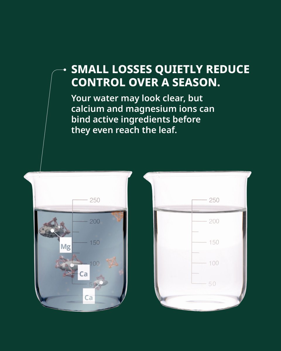 DeSangosseUK's tweet photo. 💧 Clean Water. Clean Kill. Hard water can quietly reduce herbicide uptake before it hits the weed.

👉 Test your water. Condition first. Protect every pass.

Learn more: https://t.co/bKUrTFixtB

#SmarterSpraying #GlyphosateStewardship #CleanWaterCleanKill https://t.co/uuUCtXkYeT