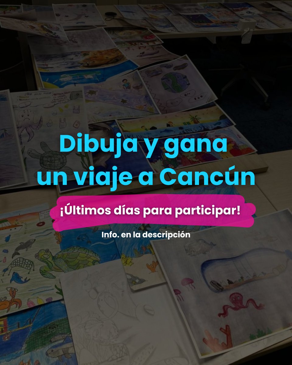 Festival de los Océanos del Caribe Mexicano 🇲🇽 tweet media