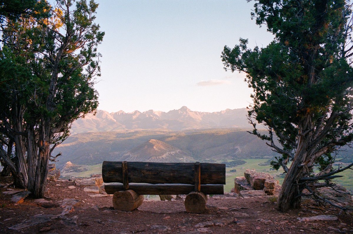 Nevin Johnson tweet media