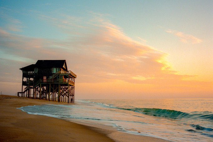 Nevin Johnson tweet media