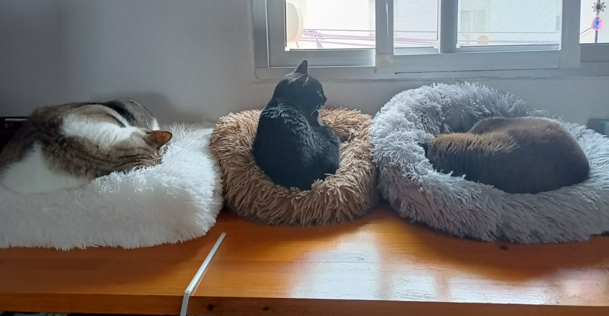 Ninah 🍅 tweet media