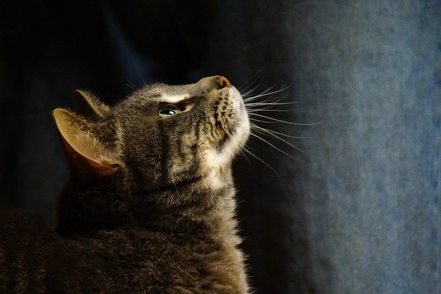 Leah Moore tweet media