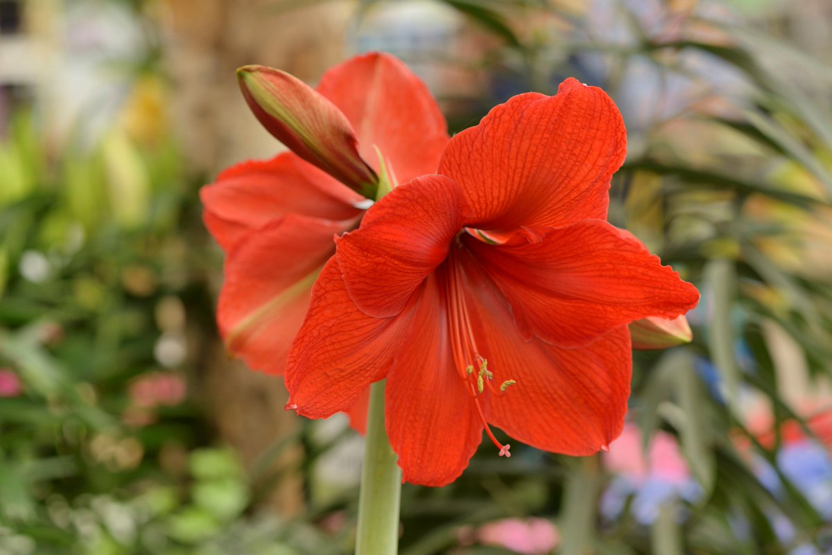 Garden Centre Association tweet media