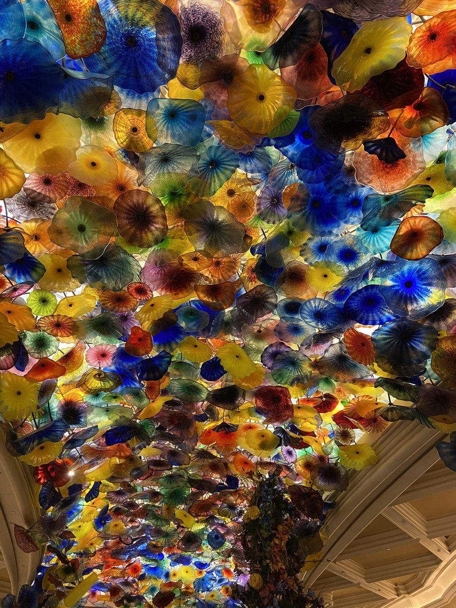 Kerri Gray tweet media