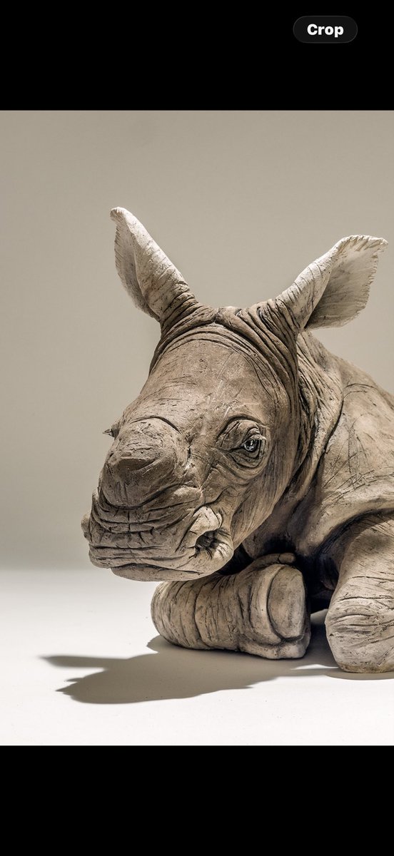 Nick Mackman Animal Sculpture tweet media