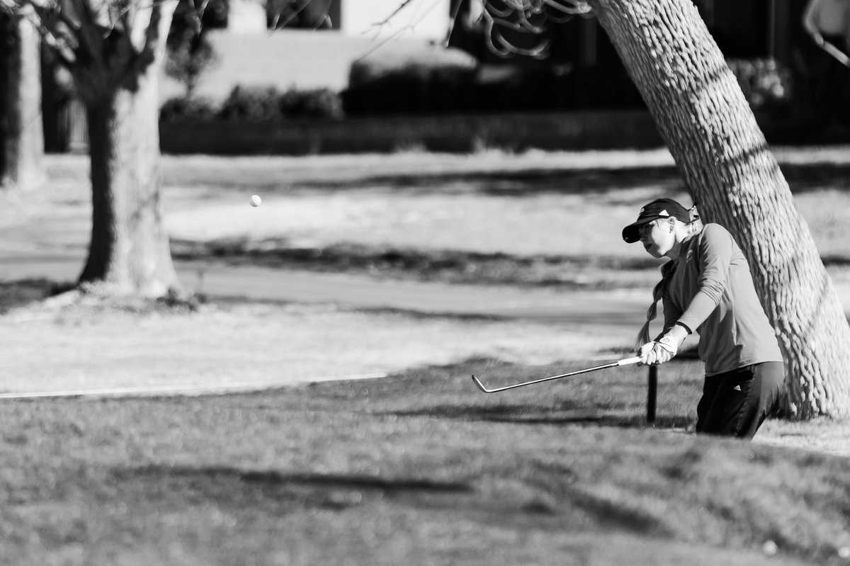 SUU Thunderbirds ⚡️ tweet media