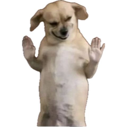 acalvey_'s tweet image. Aye ion see none wrong with what choyce did/doing