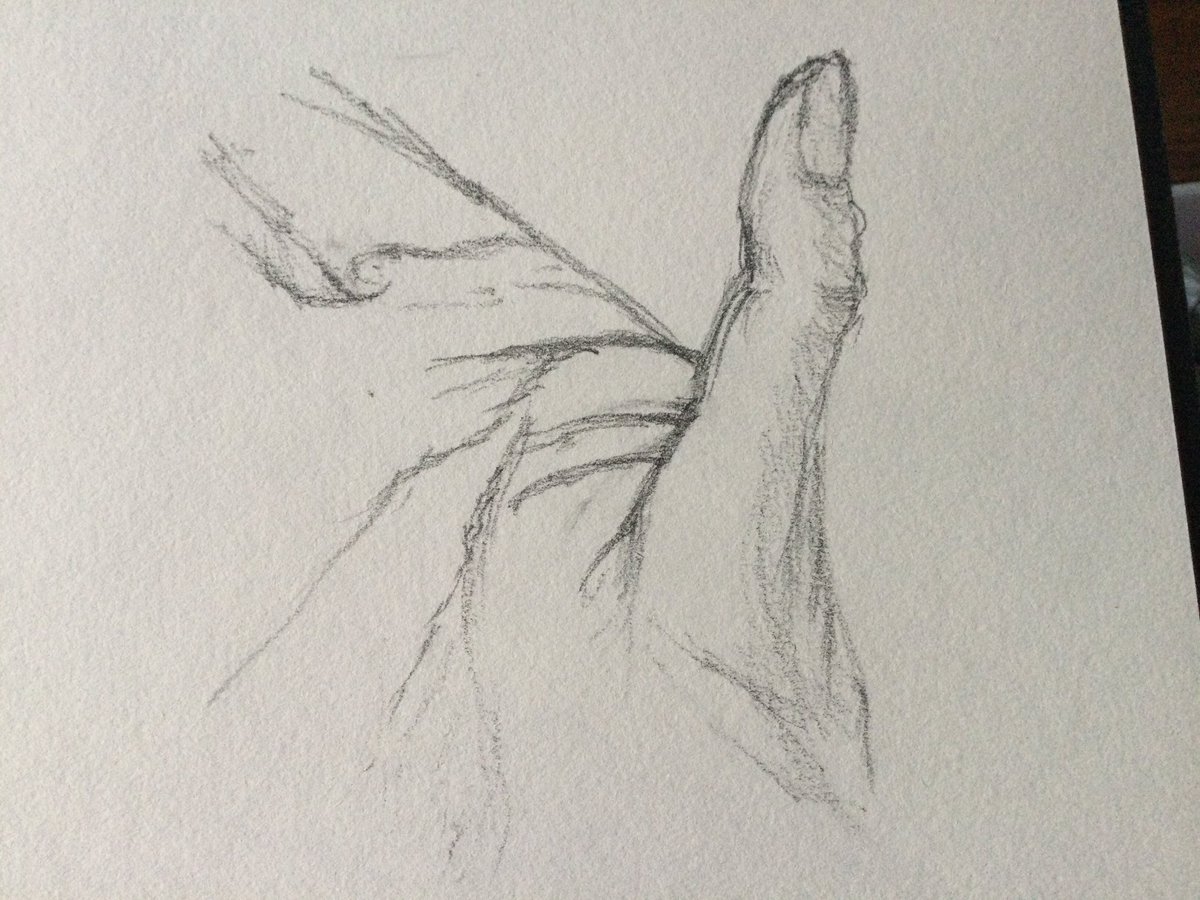 Fiona Senior tweet media