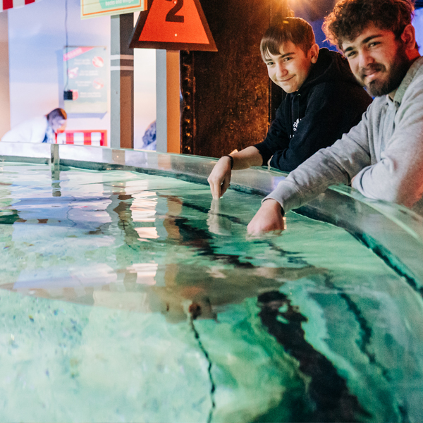 Each #cleaquarium gallery tells its own story—freshwater and saltwater spaces designed to feel like the environments they represent. From Ohio Lakes &amp; Rivers to Shark—where do you usually spend the most time?  📸 Coastal Boardwalk
