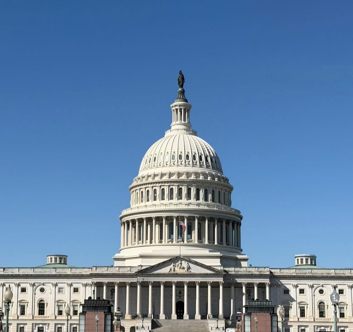 Project K9 Hero tweet media