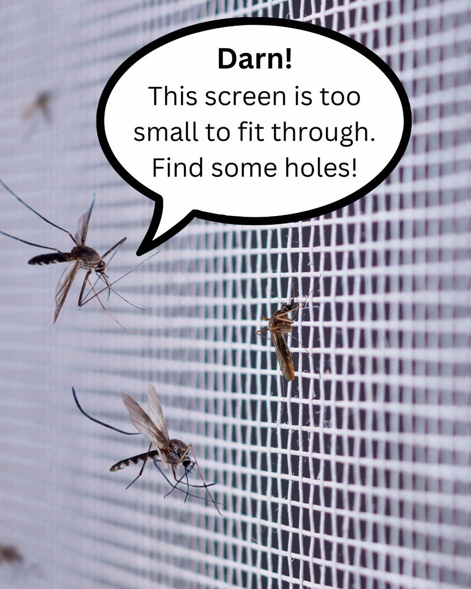 Alameda MAD tweet media