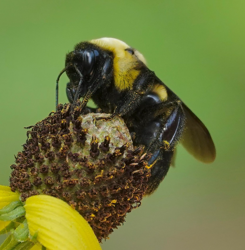 PNASNews tweet media