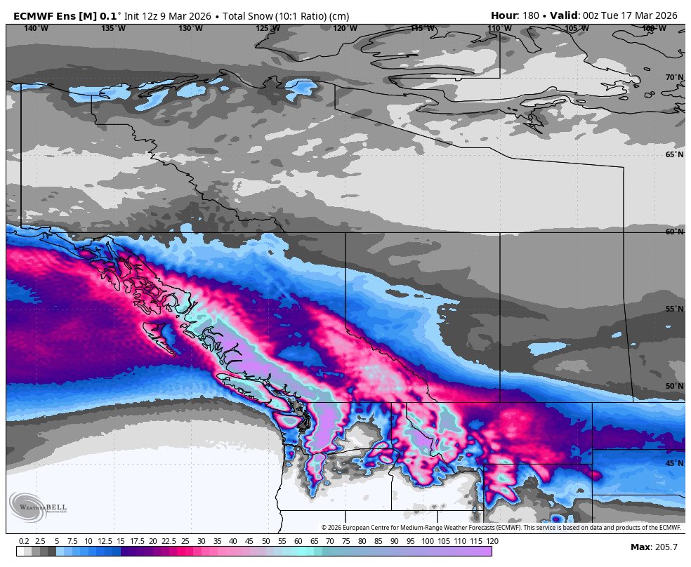 Braydon Morisseau tweet media
