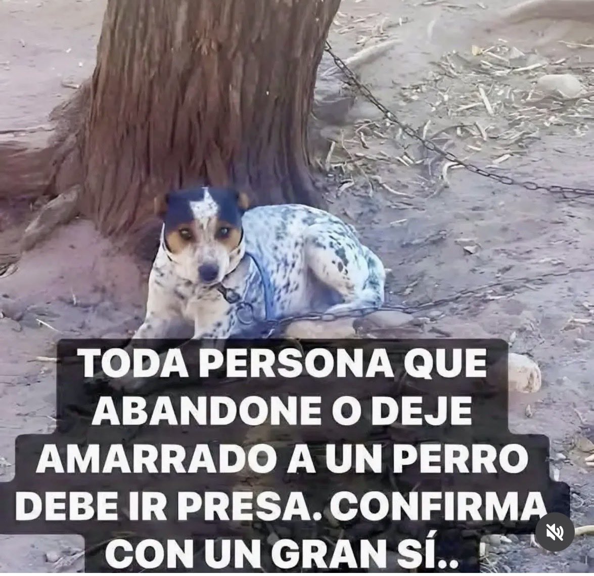 pinupseniorgirl's tweet photo. ¡¡ SI SI SI 😤😤 https://t.co/NCuJTWnPL7